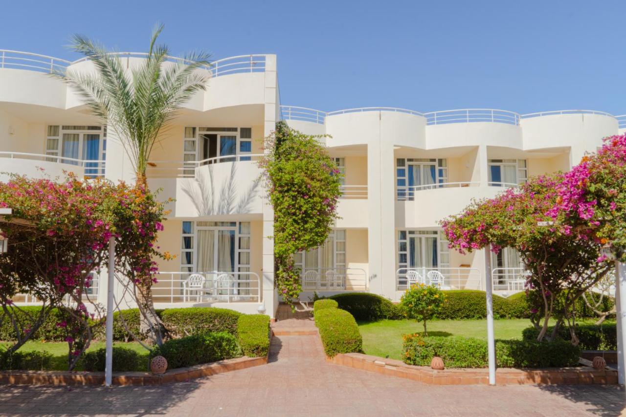Sharm Reef Hotel Exterior photo