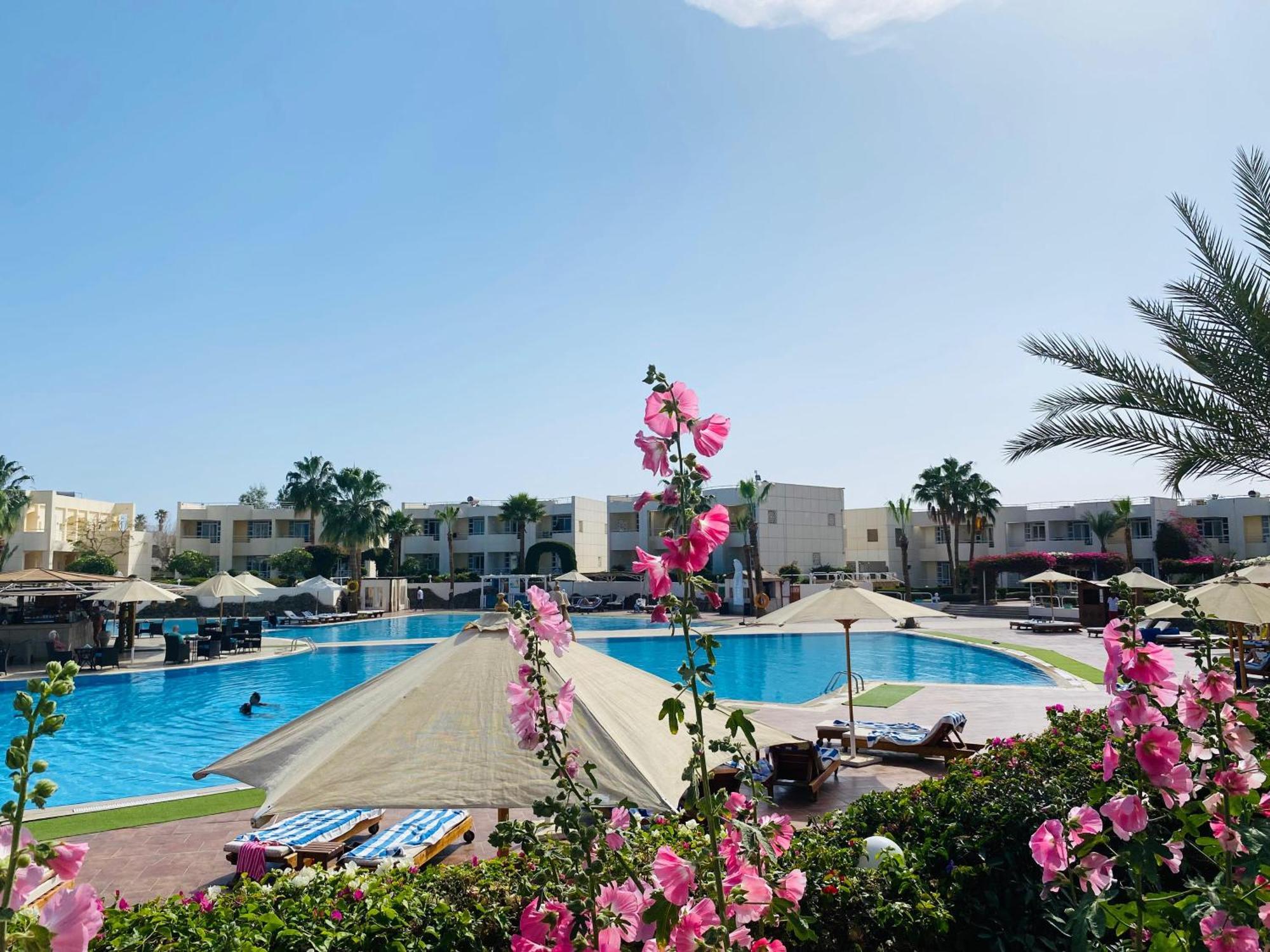 Sharm Reef Hotel Exterior photo