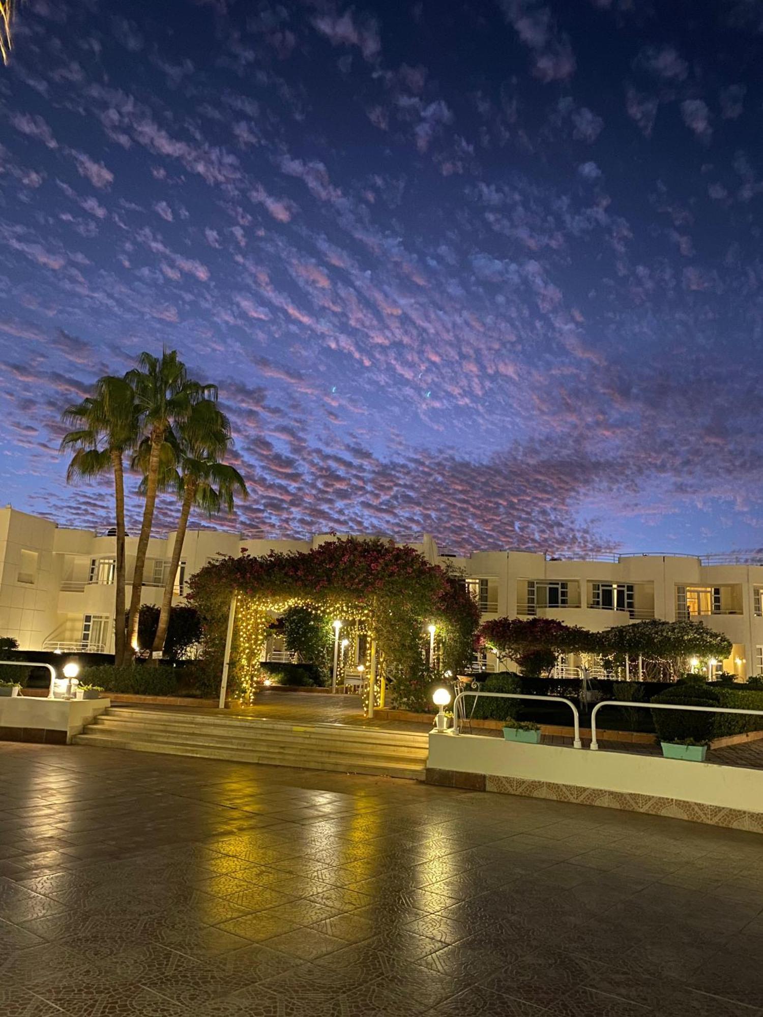 Sharm Reef Hotel Exterior photo
