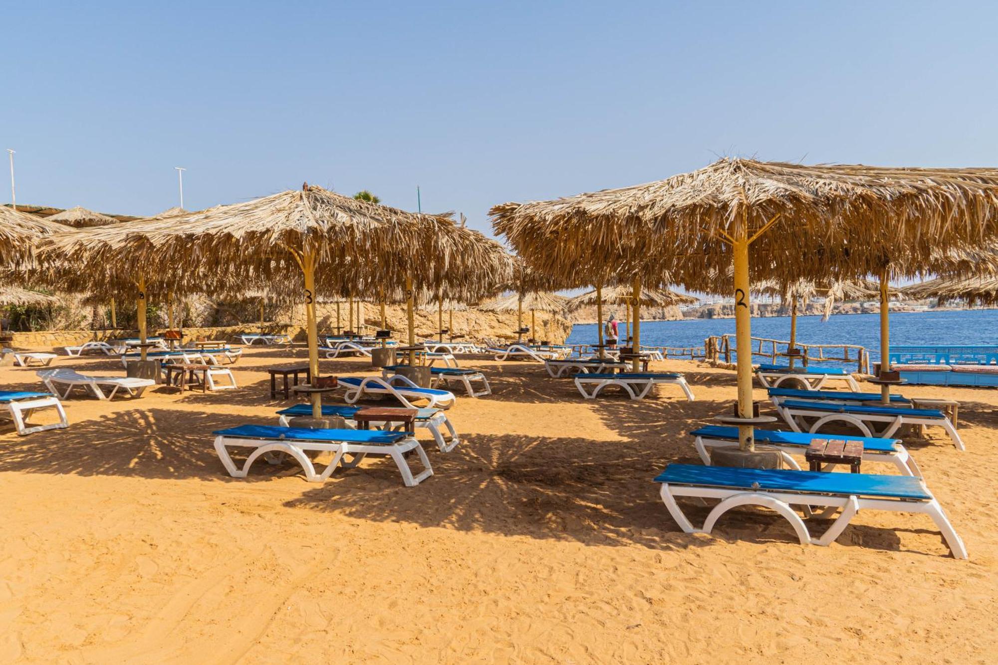 Sharm Reef Hotel Exterior photo